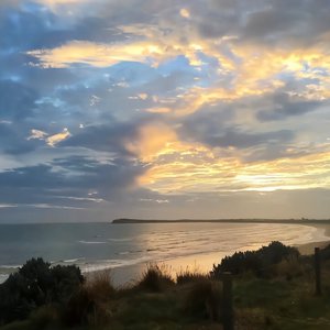 被迫当众任人玩弄H奶牛
